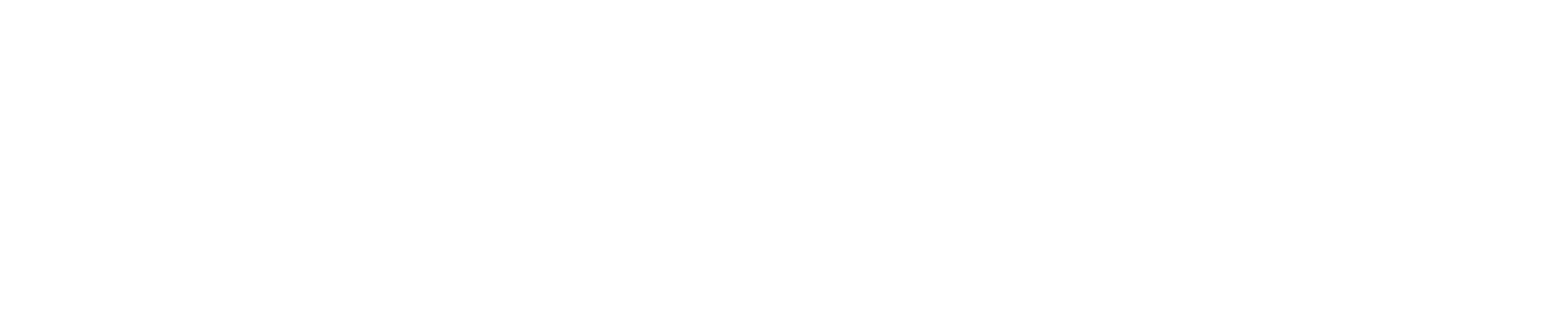 Levco Web